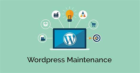 seo succor|WordPress Maintenance and Management .